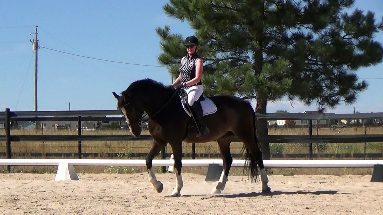 Anne Howard Clinic 9/26/15, last video, on Burghley