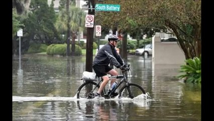 16 Dead in Historic South Carolina Rains and Flooding