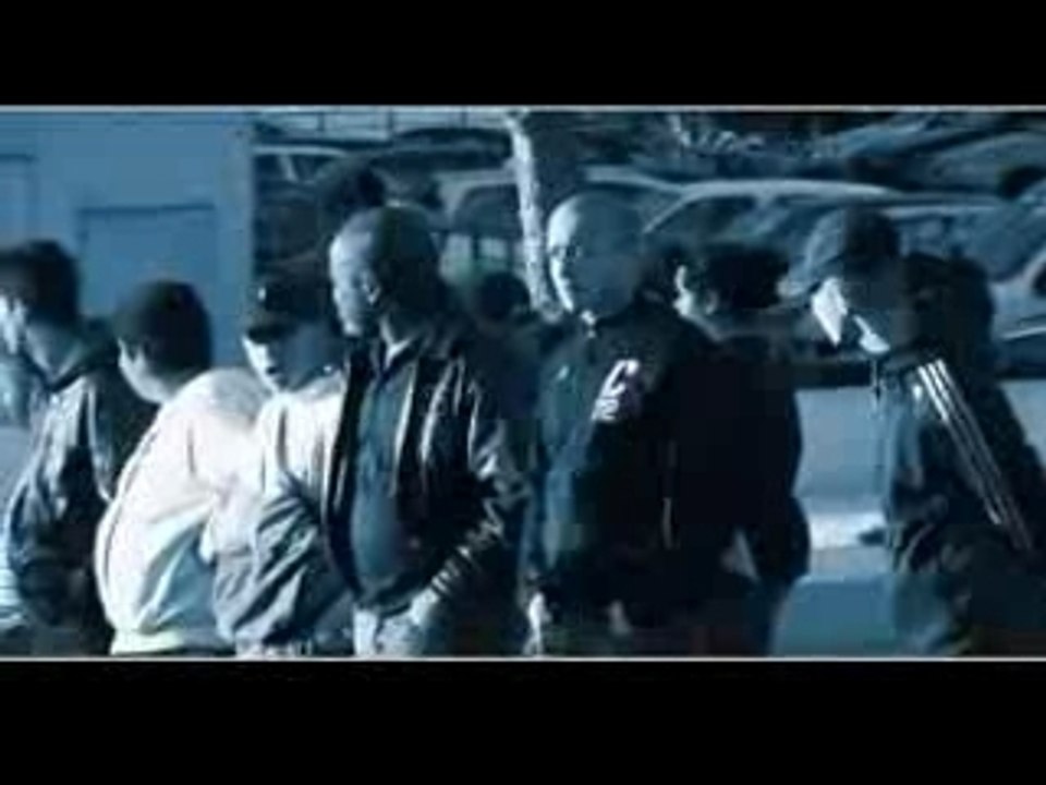Algerino - impact 13