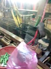 Webbing Belt Production