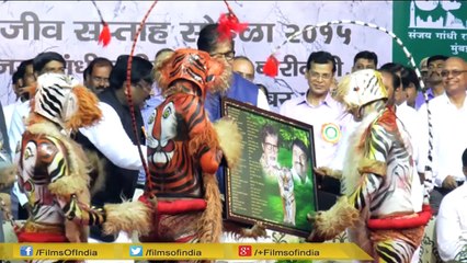 Amitabh Bachchan's Debut As Tiger Ambassador