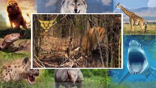 ７Seven［ΘIO↔5853↔5533］천호동출장안마上길동출장마사지✪문의가능합니다✪언제나call