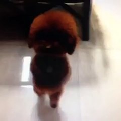 카지노룰【 DAS700。ＣＯＭ 】카지노사이트