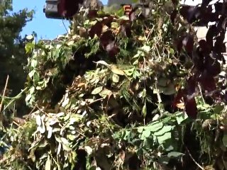 Points de vue croisés sur l'Economie circulaire, les EI s'engagent