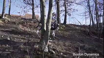 No Robot Lives Were Lost While Filming This Video - Wonderful Engineering
