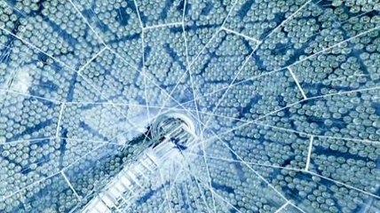 Nobel Physics Prize for neutrino insights