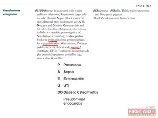 Microbiology Bacteriology Part 4
