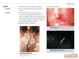 Microbiology Bacteriology Part 5