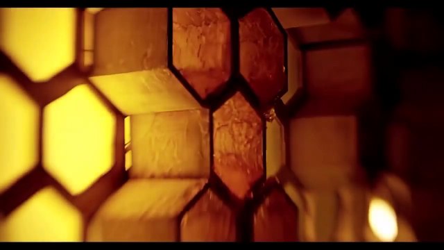 SİBEL CAN - Bir Parmak Bal feat. TARKAN (Teaser - Çok Yakında)