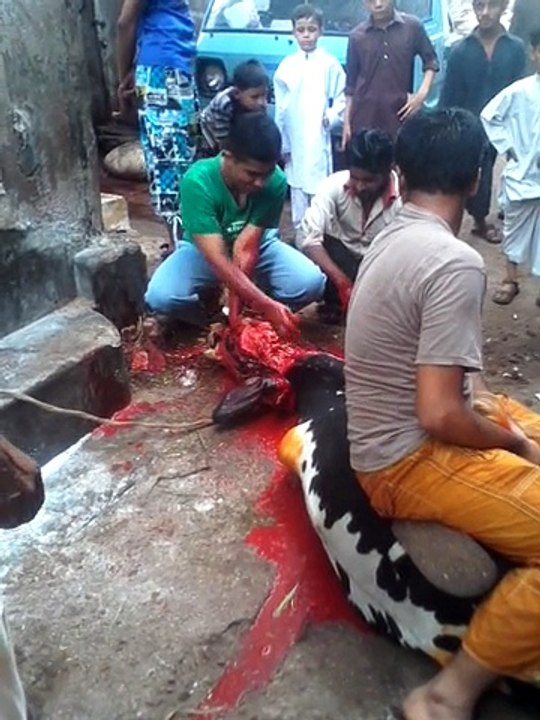 Arshad Roonjha bakra Eid