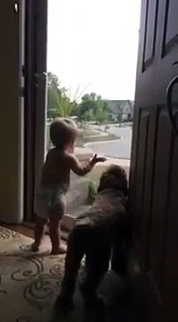 Quand bébé et toutou accueillent papa de retour du travail : trop mignon