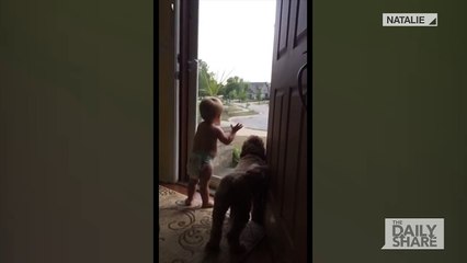 Bebek ve Köpek Babanın Eve Gelişine Sevinirse