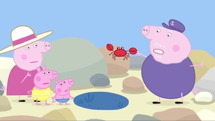 Peppa Pig - Rock Pools (Clip)