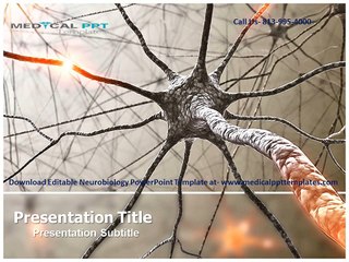 Neurobiology PowerPoint Template Background