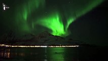 Une baleine joue sous une aurore boréale en Norvège