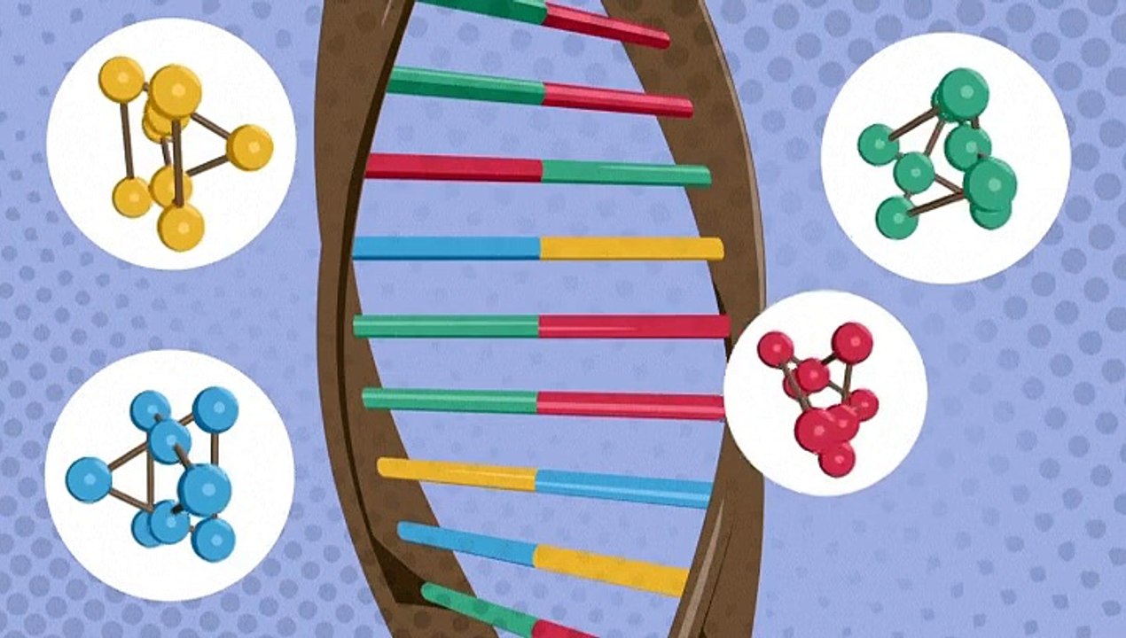 Le Nobel de chimie récompense des travaux sur l'ADN utiles contre le cancer