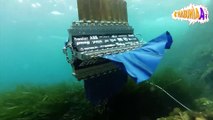 Mürekkep Balığı Tasarımlı Yüzen Robot - Undulating fin robot diving in the sea