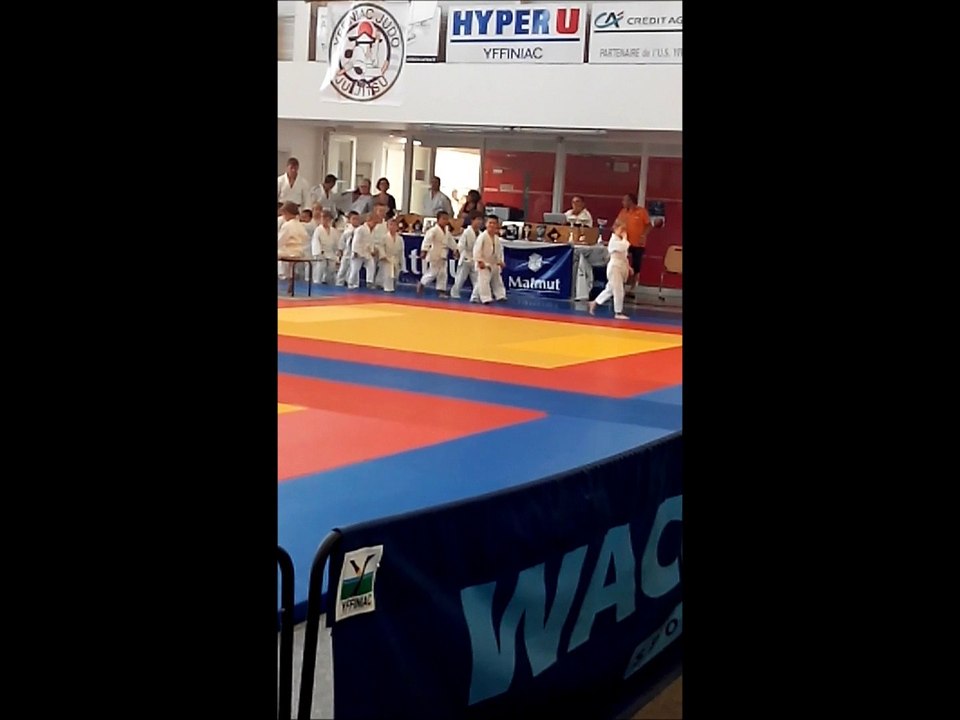 judo2015