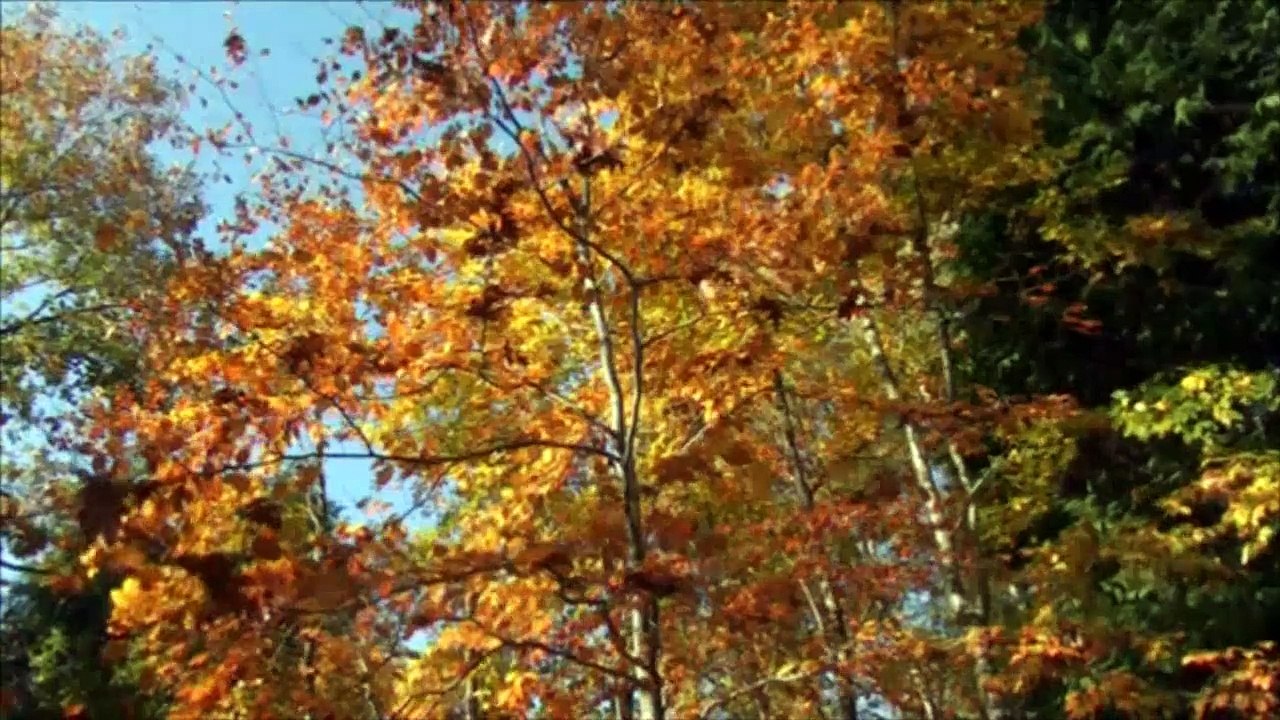 La Magie des Saisons en Morvan