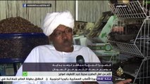 كاميرا الجزيرة مباشر ترصد بداية موسم حصاد التمور في السودان