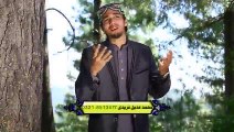 Main Ve Madine Jawan Mera Gi Karda - Muhammad Adeel Faridi - New Naat [2015] - Video Dailymotion