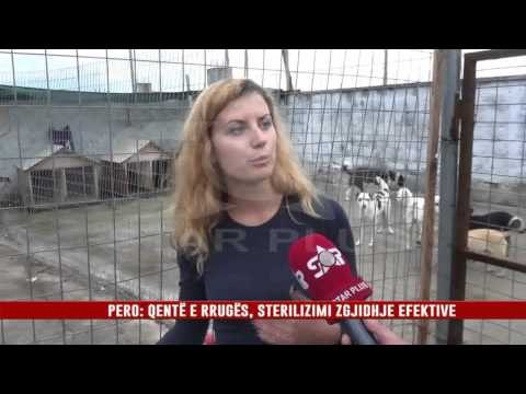 PERO: QENTË E RRUGËS, STERILIZIMI ZGJIDHJE EFEKTIVE