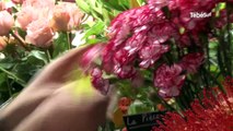 Pontivy. Mickaël Rault, champion du monde des fleuristes 2015