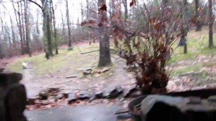 Cuties In Dog Booties