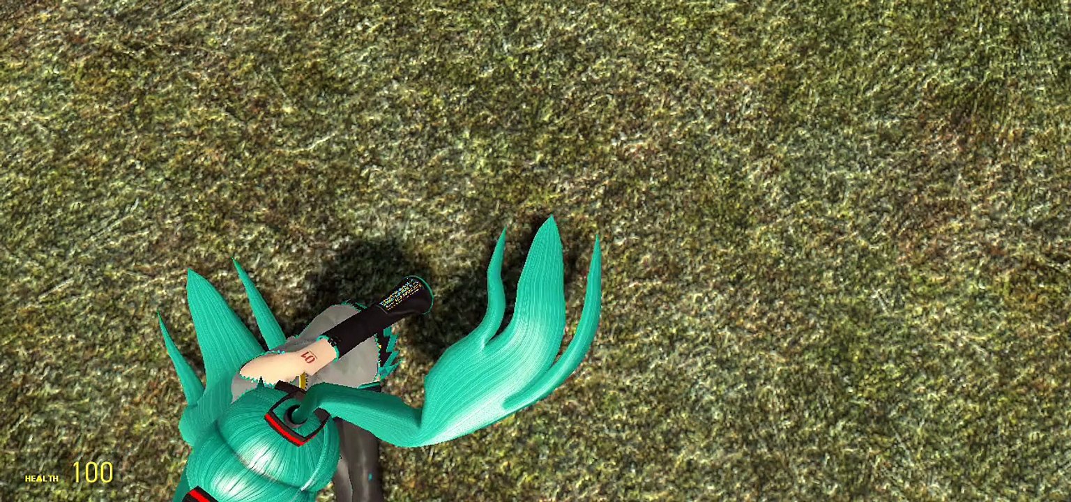 Hatsune Miku Funny Animation.