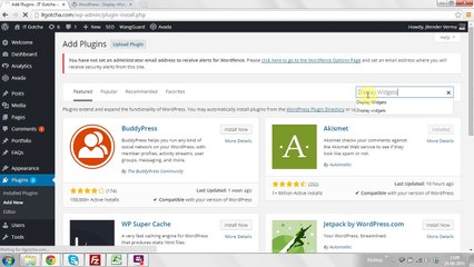How to hide/show the widget in the wordpress?