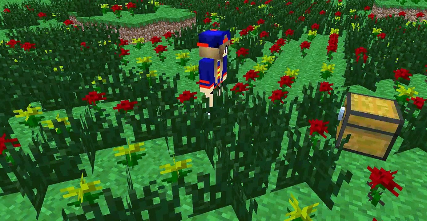 1 Minecraft Animation