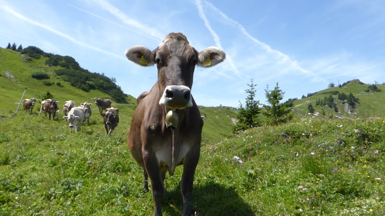 Hahnenkamm in Reutte (Tirol / Österreich)