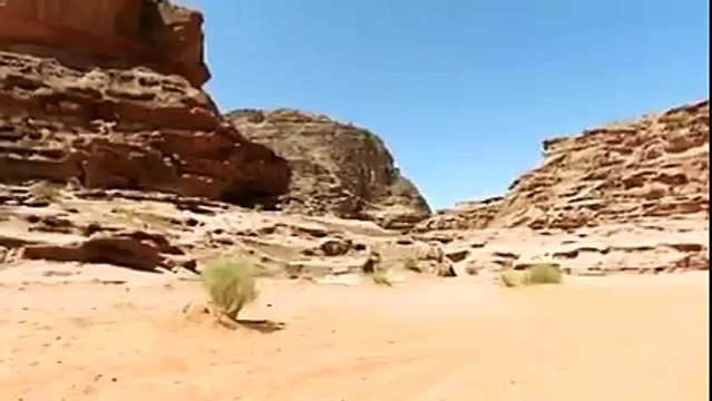 Arap ihaneti . Tüm arap sevicilere gelsin