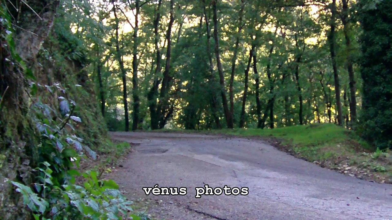 rallye mauve plats "Vénus Photos"