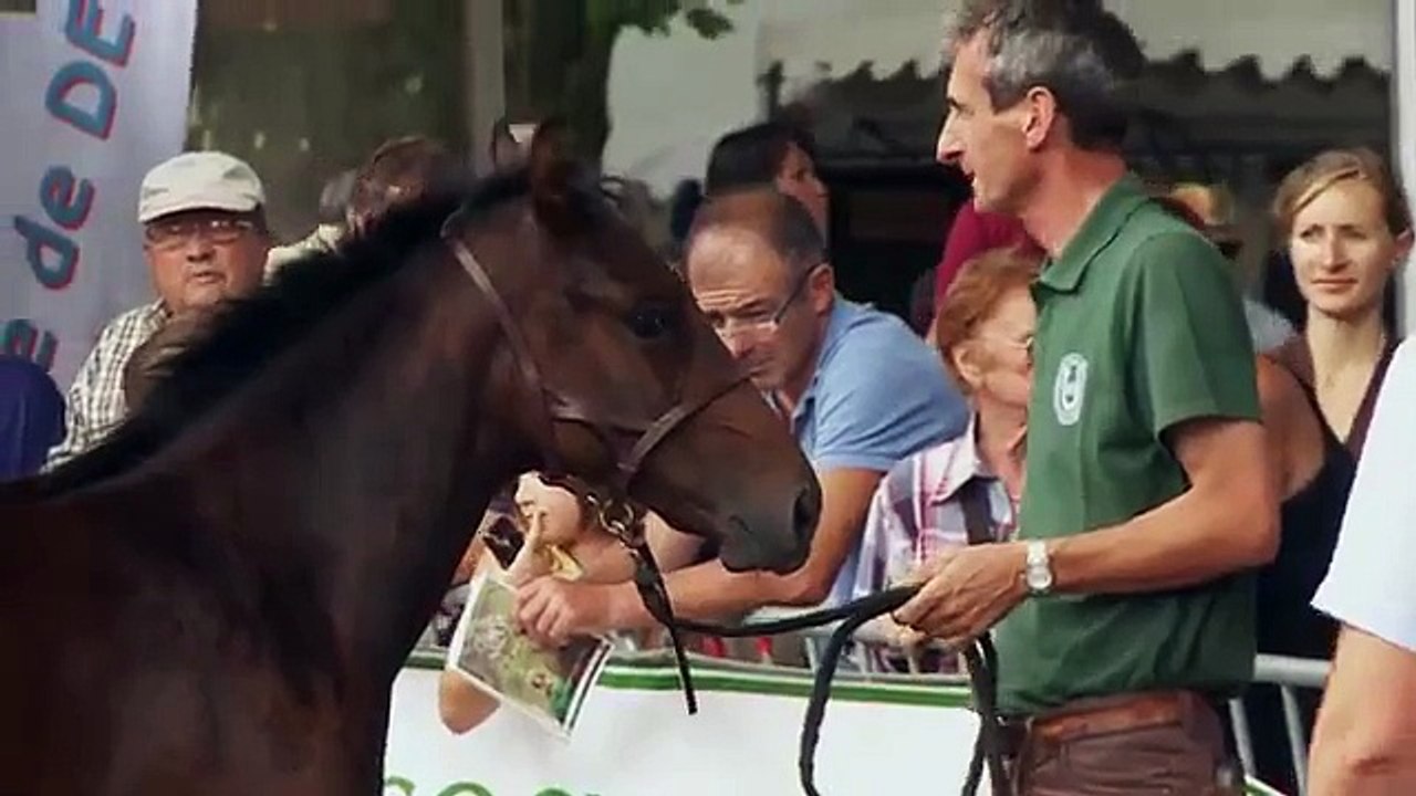 Decise 2015 - 4 ième des foals femelles