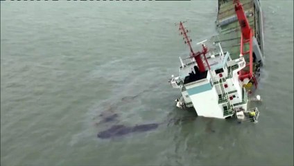 Risque de marée noire en Belgique après le naufrage d'un cargo
