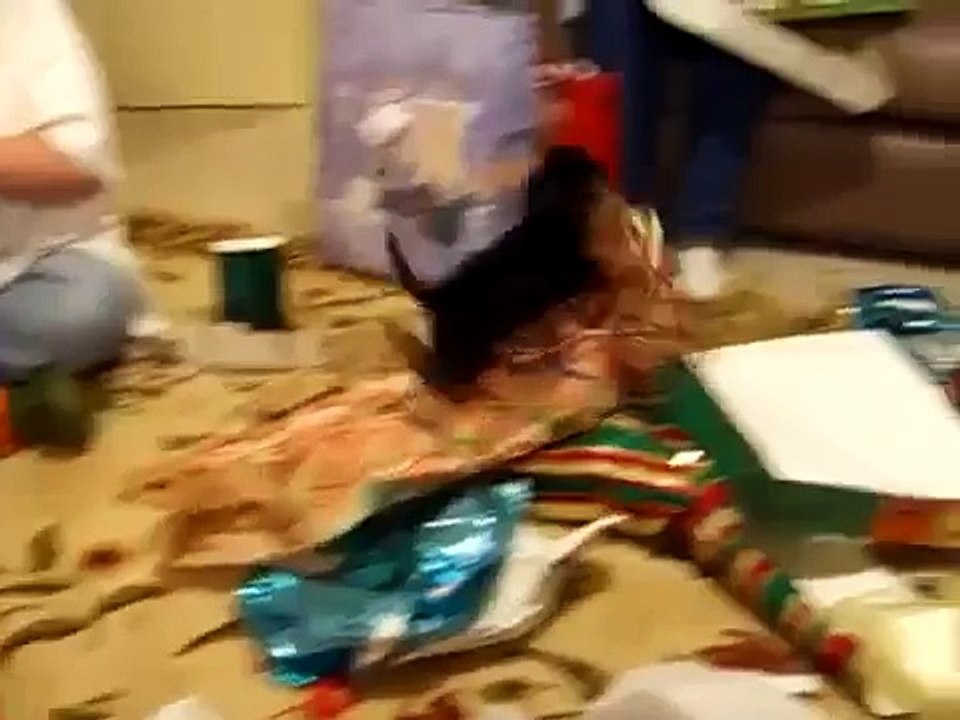 Christmas Puppy   New Funny Video Compilation 2015