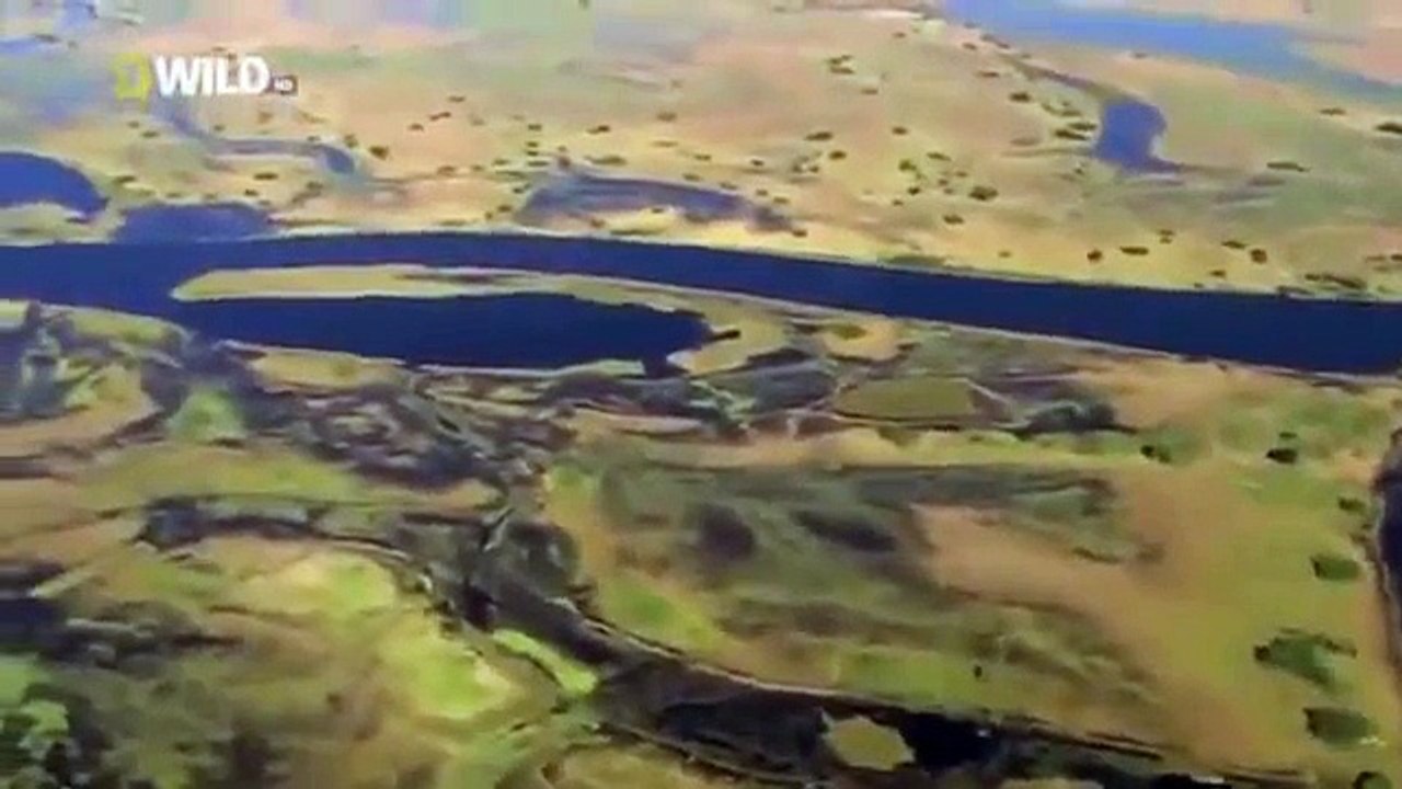 Animal Planet 2015   Discovery Channel   Wildlife Animals   Hyena Documentary 720 HD