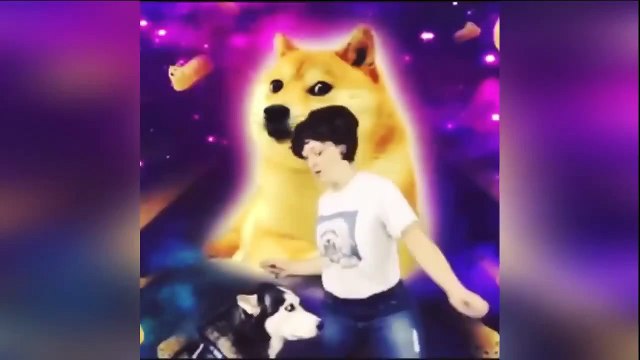 Funny Videos Try Not To Laugh Challenge Funny Girls Funny Pranks New Funny Fails 2015