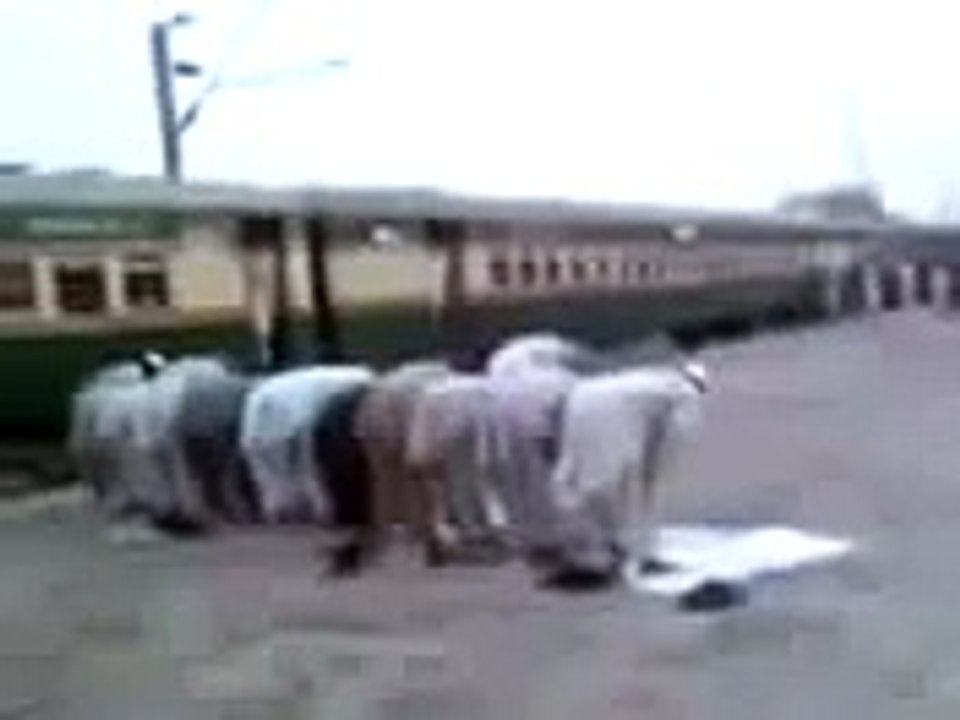 Whatsapp funny video 187 @whatsapp #whatsapp