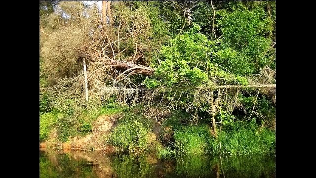 Хорошее настроение