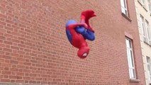 Amazing Spider-Man Fights Crime | Parkour, Flips & Kicks