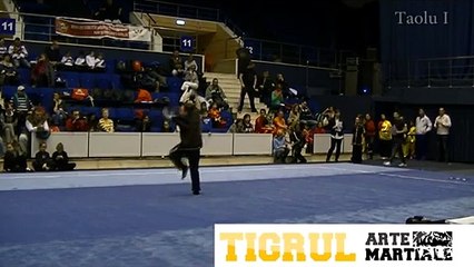 Tigrul Arte Martiale Kickboxing Muay Thai MMA Bucuresti Sector 1 2 3 4 5 6 wushu kung fu