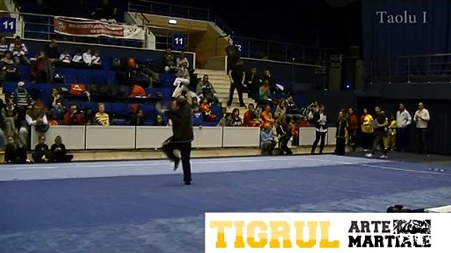 Tigrul Arte Martiale Kickboxing Muay Thai MMA Bucuresti Sector 1 2 3 4 5 6 wushu kung fu