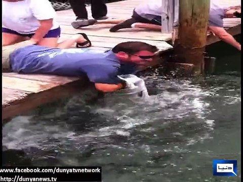 Fish Grabs Mans Arm Goes Viral.