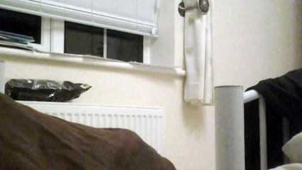 Me singing Let it go(Epic fail)