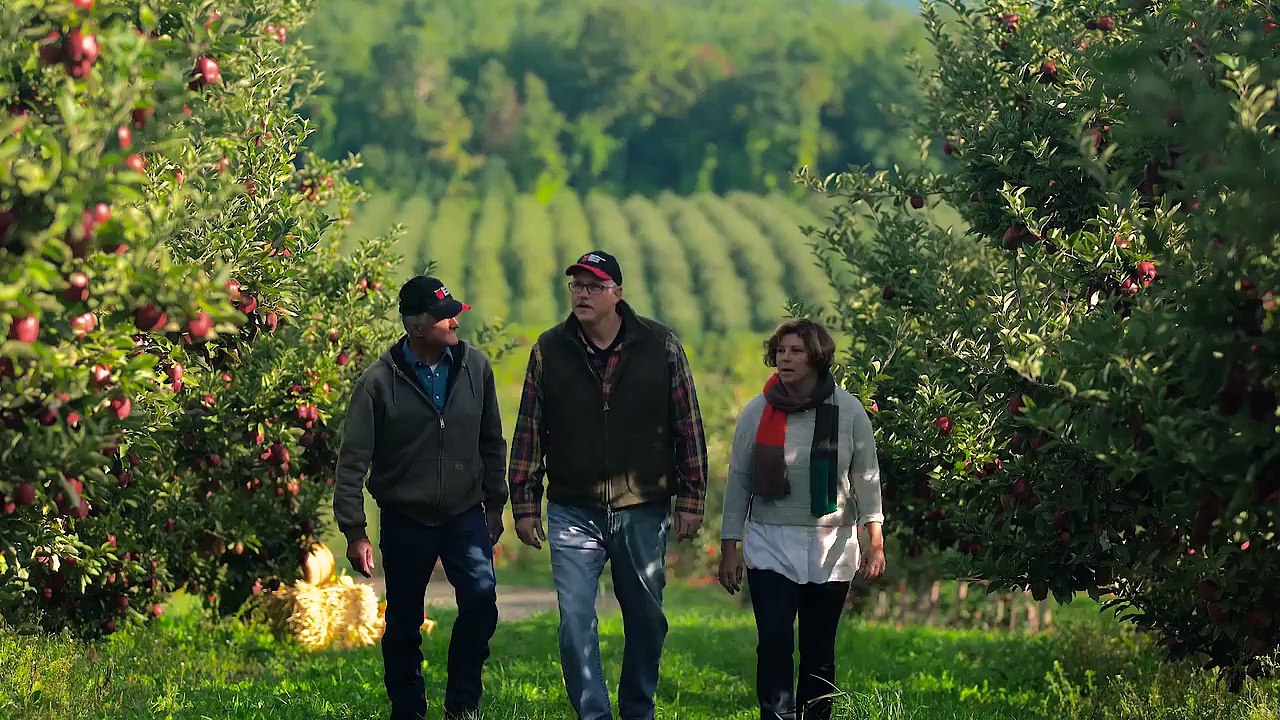Take a Bite Out of the Best-Tasting Apples from...