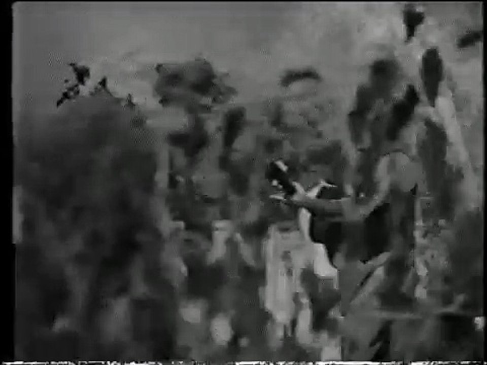 EK HUSN KI DEVI SE