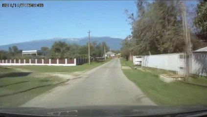 Oh la vache, elle vole toute seule