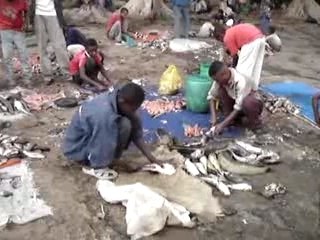 Ethiopie Awassa fish market